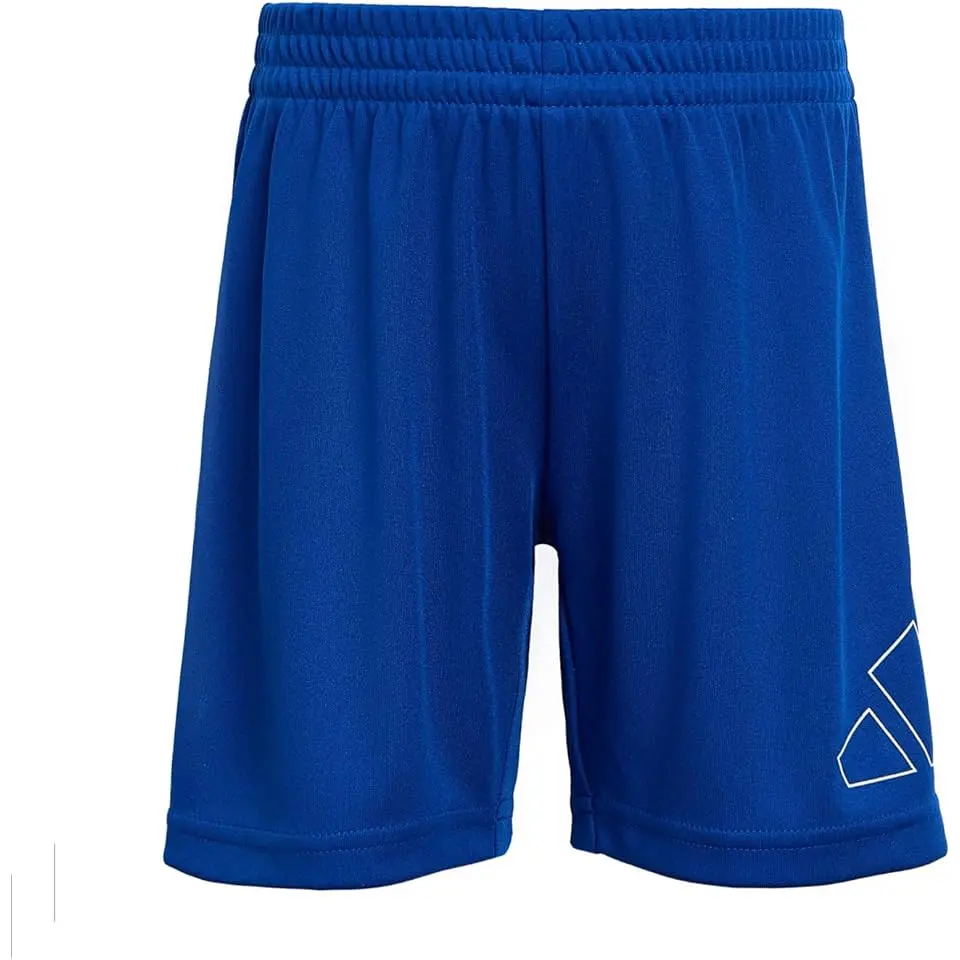 Essentials Big Logo Shorts
