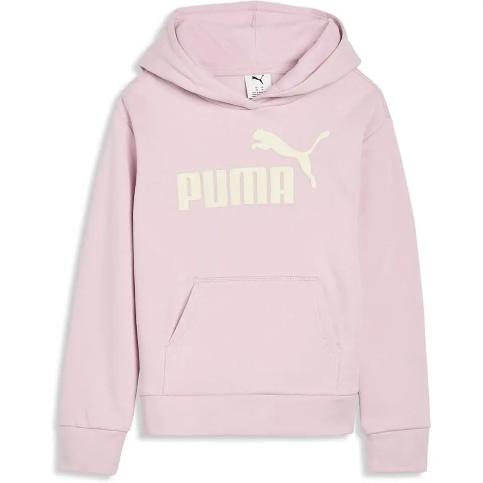 Foundations Fleece Pullover Hoodie (Big Kid)