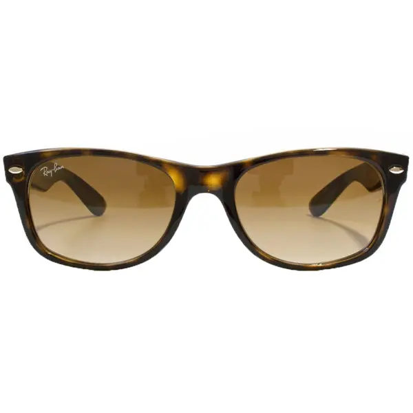 New Wayfarer - Tortoise/Brown Classic