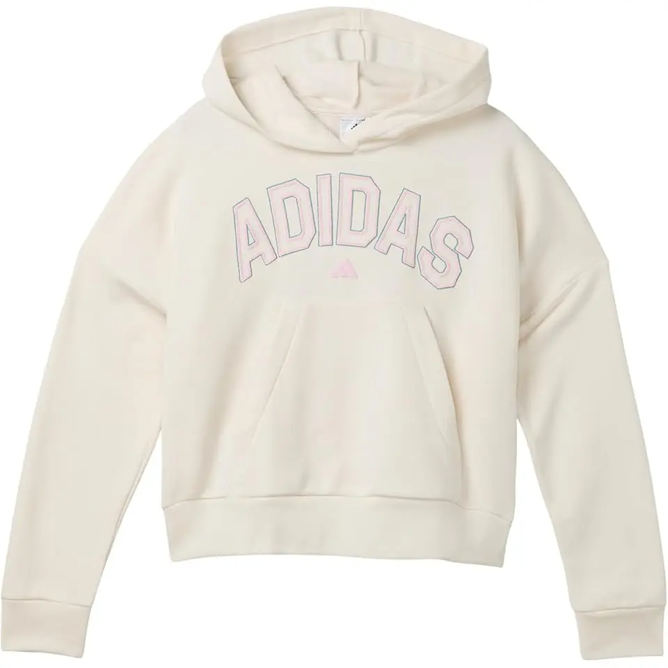 Graphics Fleece Hooded Pullover (Big Kid)