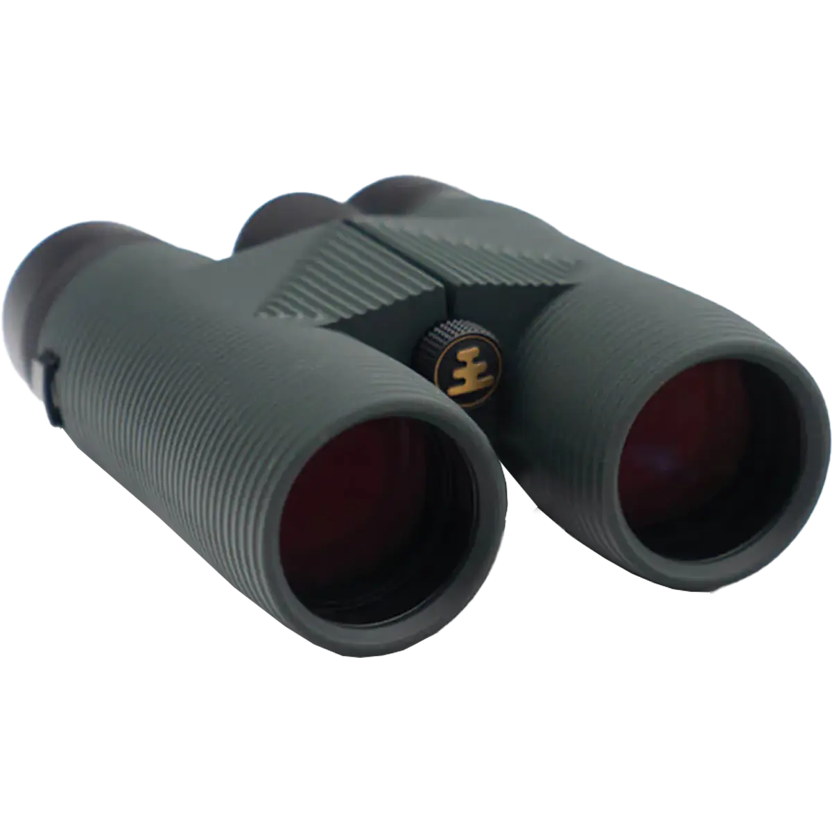 Pro Issue 8x42 Binoculars