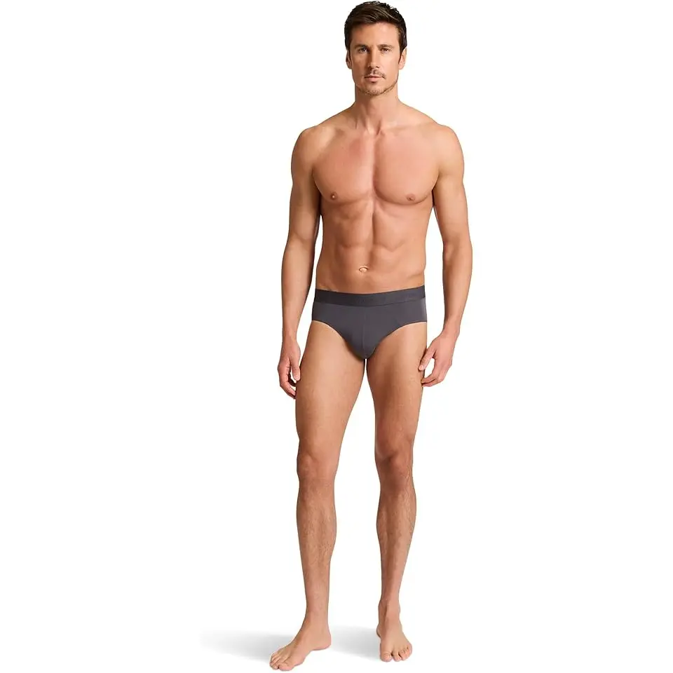 Modal Modern Brief