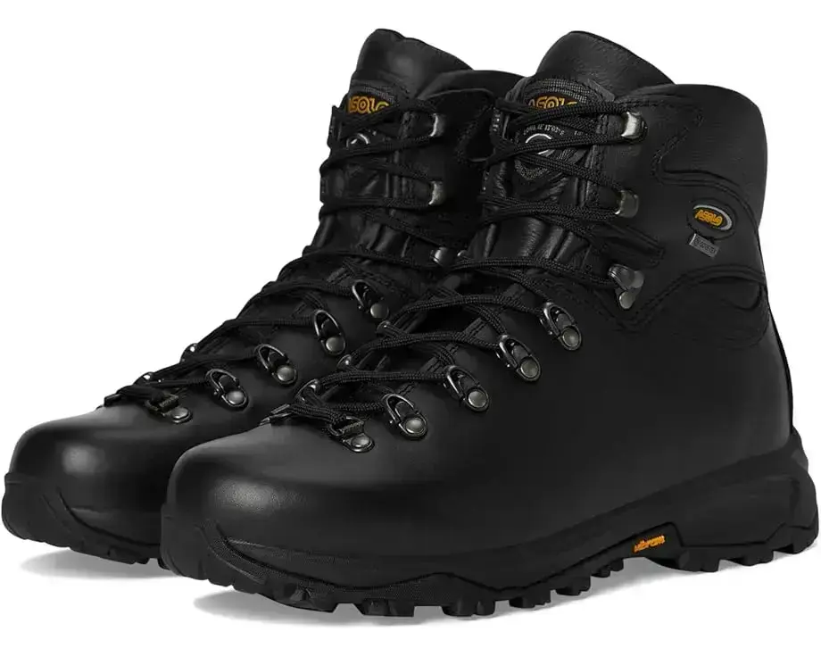 Men's Asolo 520 Winter GV MM