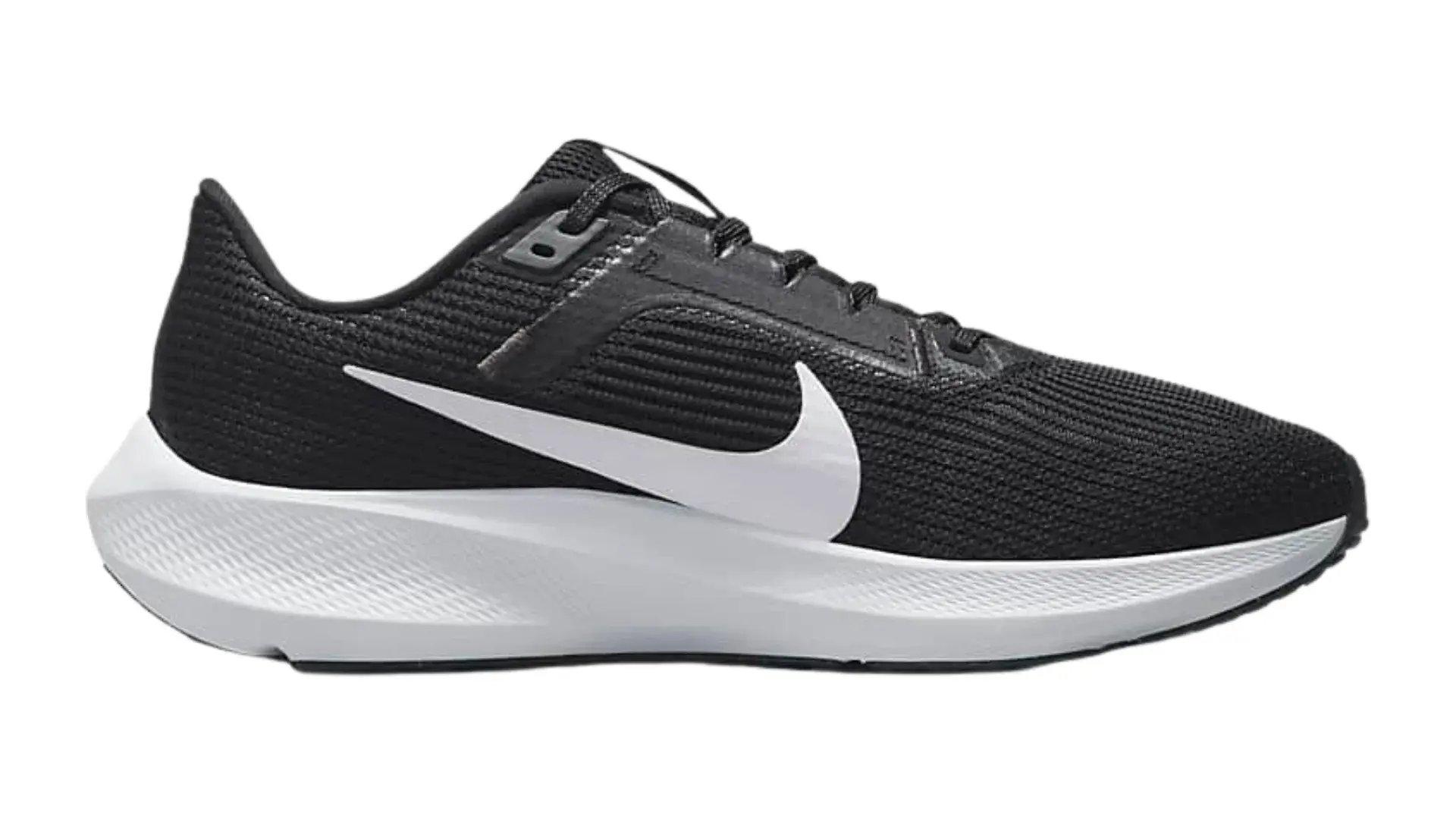 Pegasus 40