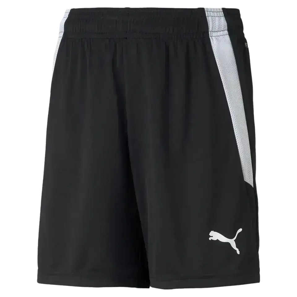 Youth Team Liga Shorts