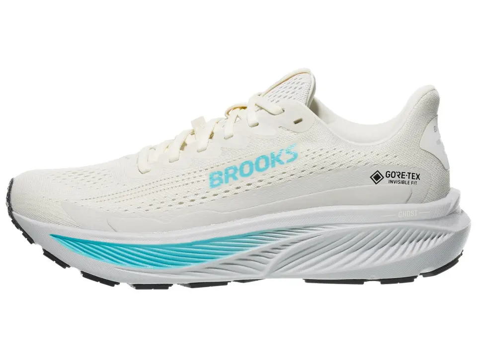 Brooks Ghost 17 GTX
