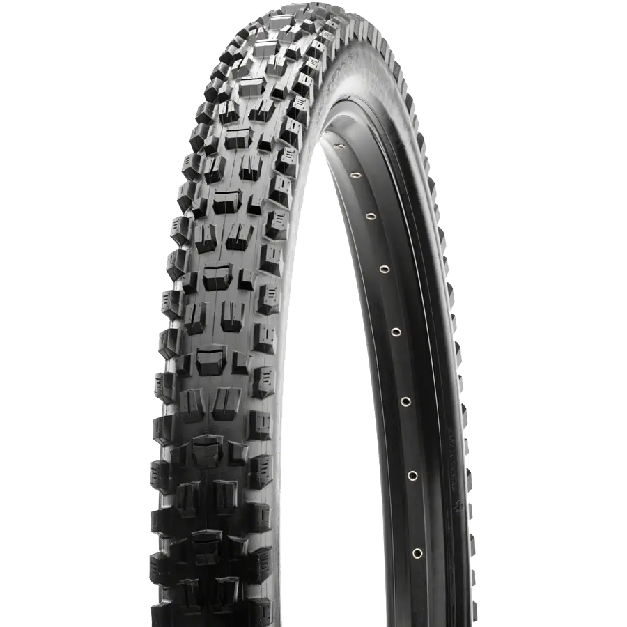Assegai 3C MT EXO+ TR WT - 29 x 2.5