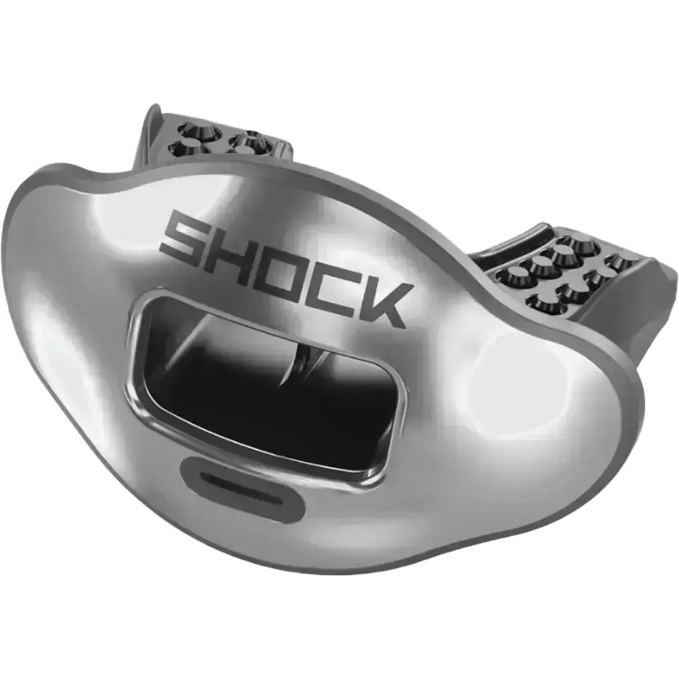 Max AirFlow Lip Guard Chrome