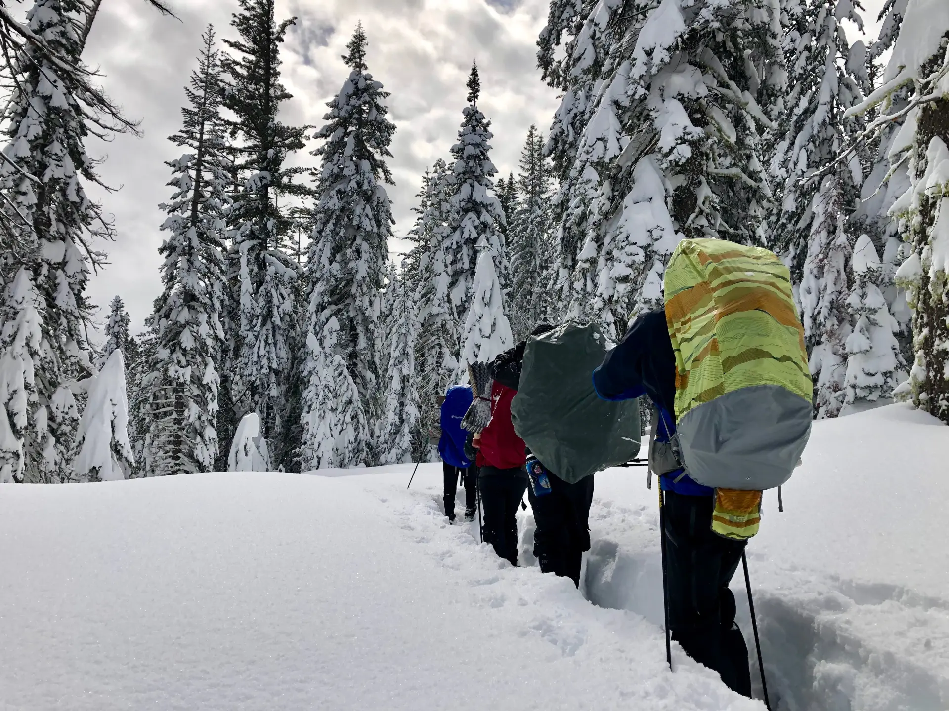 Snowshoeing Yosemite: Valley Overlook