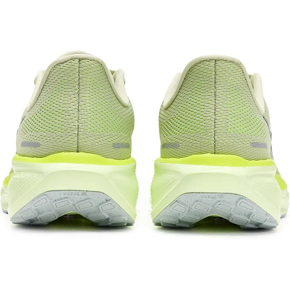 Pegasus 41