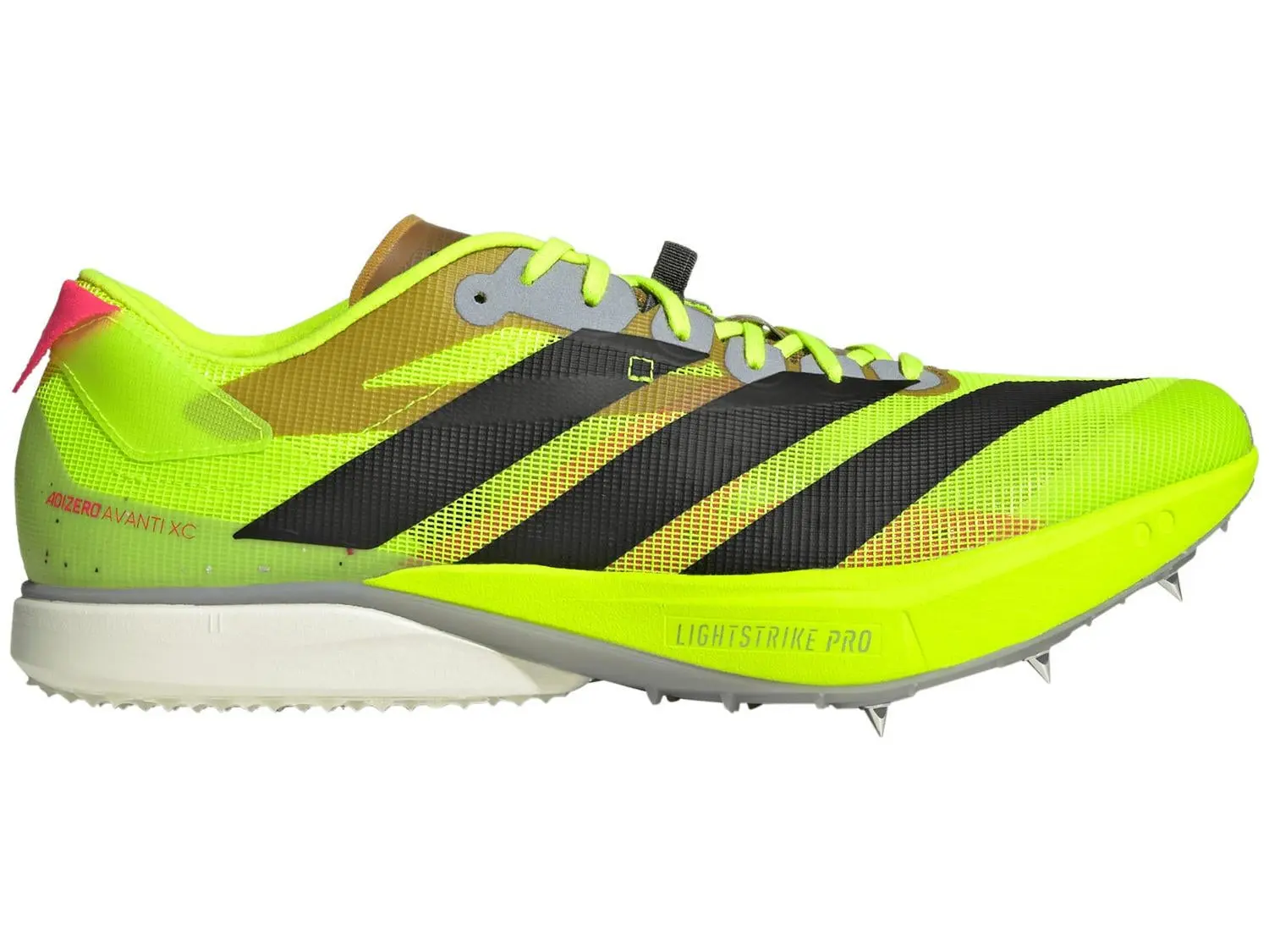 adidas adizero Avanti XC Spikes