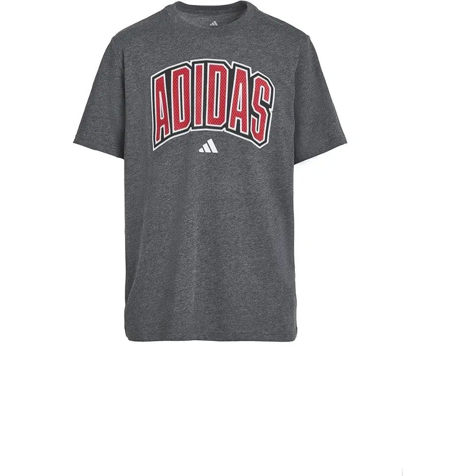 Collegiate Arch Heather Tee (Big Kid)