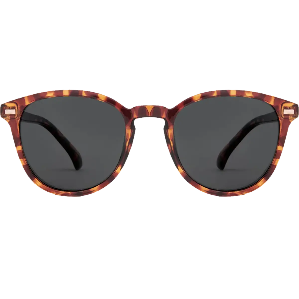 Oslo Polarized