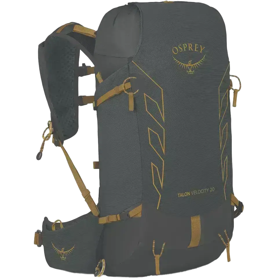 Talon Velocity 20