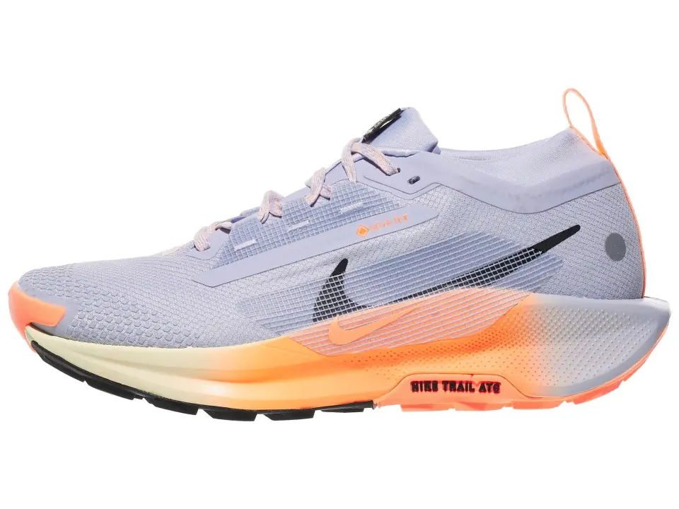 Nike Pegasus Trail 5 GTX