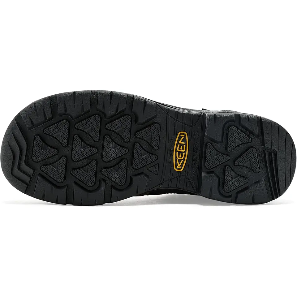 Targhee IV LTR Waterproof Work Boots (Carbon Toe)
