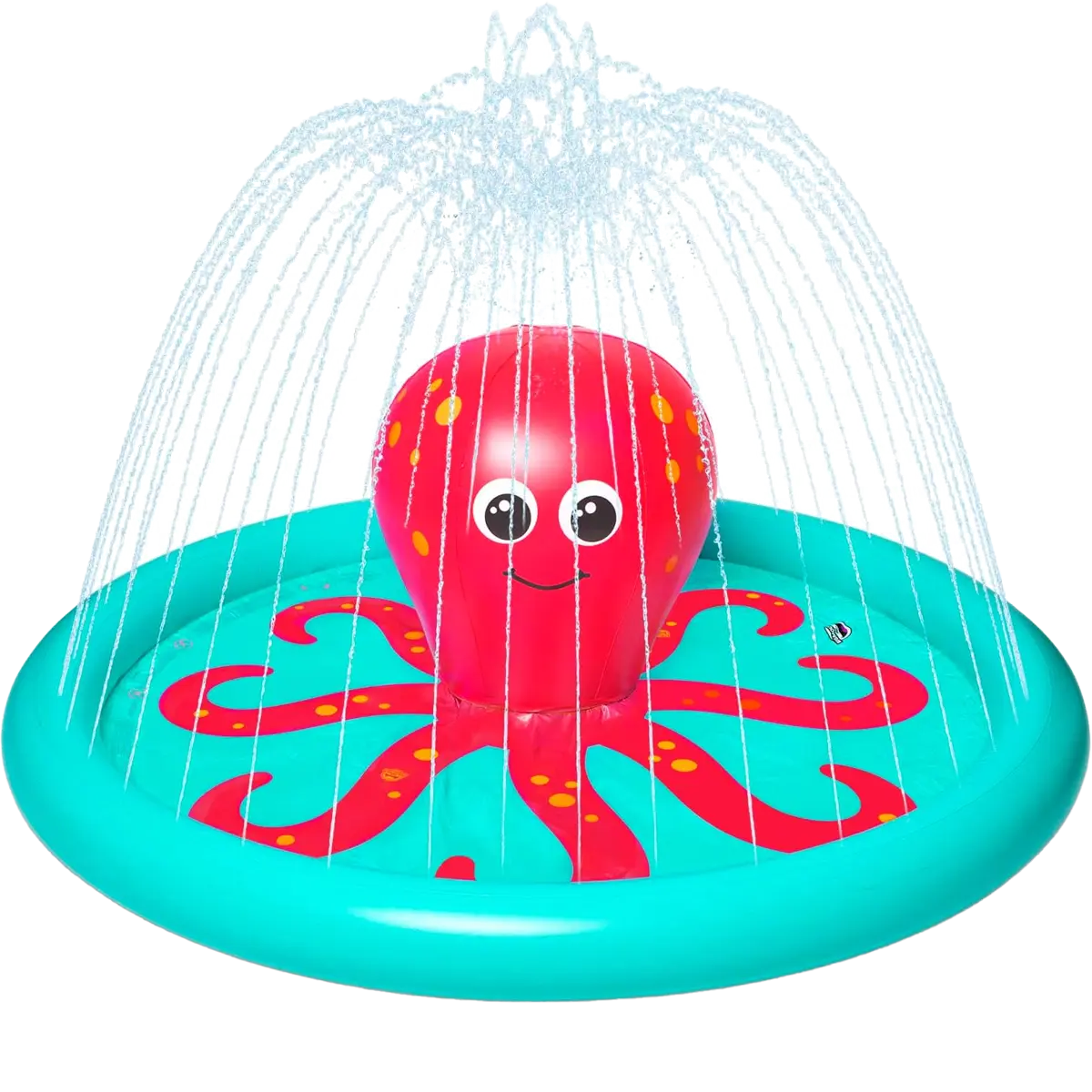 Octopus Splash Pad