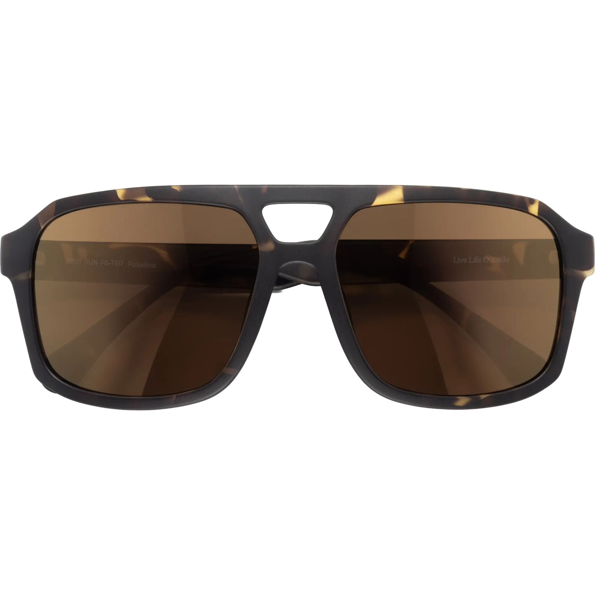 Paladino Tortoise Bronze