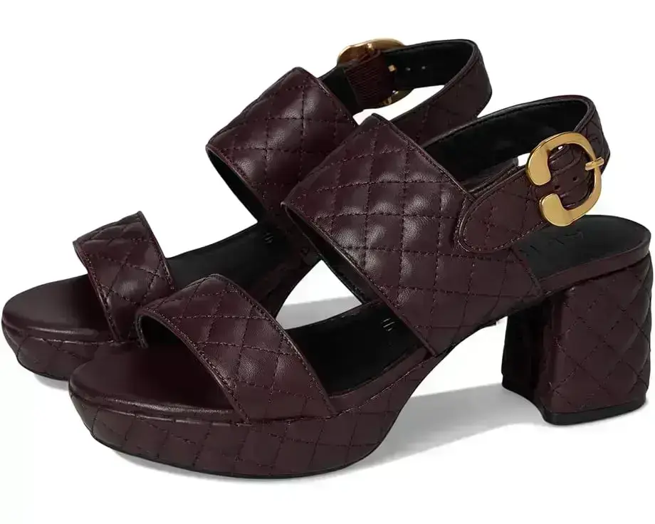 Women's Aerosoles Camera Qui