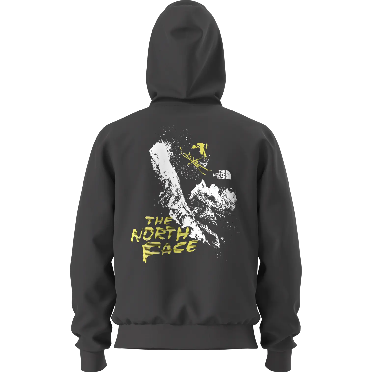 Evolution Decent Regular Hoodie