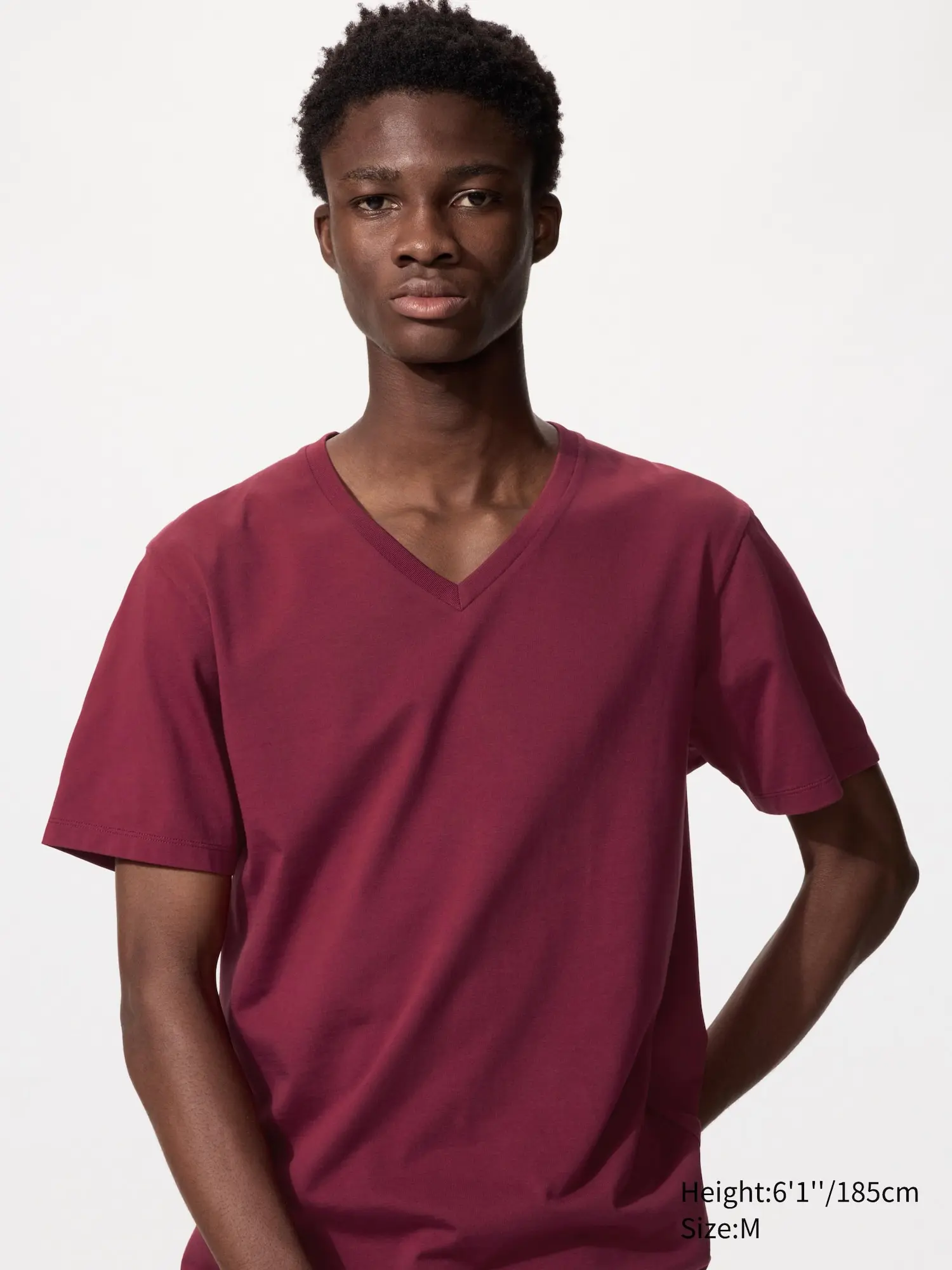 Men's SUPIMA® Cotton V-Neck T-Shirt