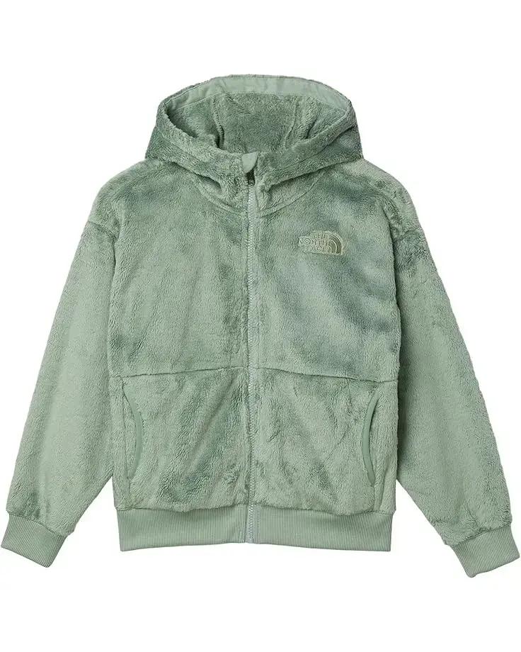 The North Face Kids Osito Full Zip Hoodie (Little Kid/Big Kid)