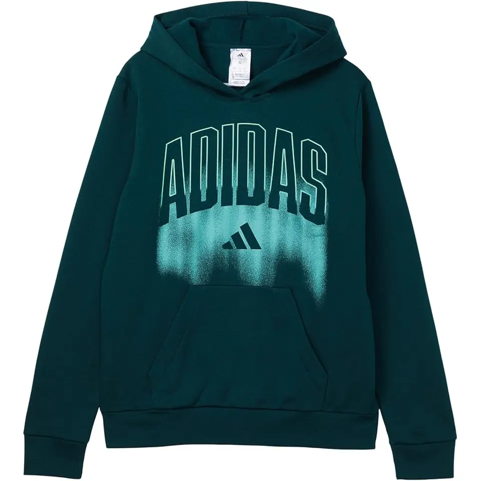 Graphic Fleece Hooded Pullover (Big Kid)