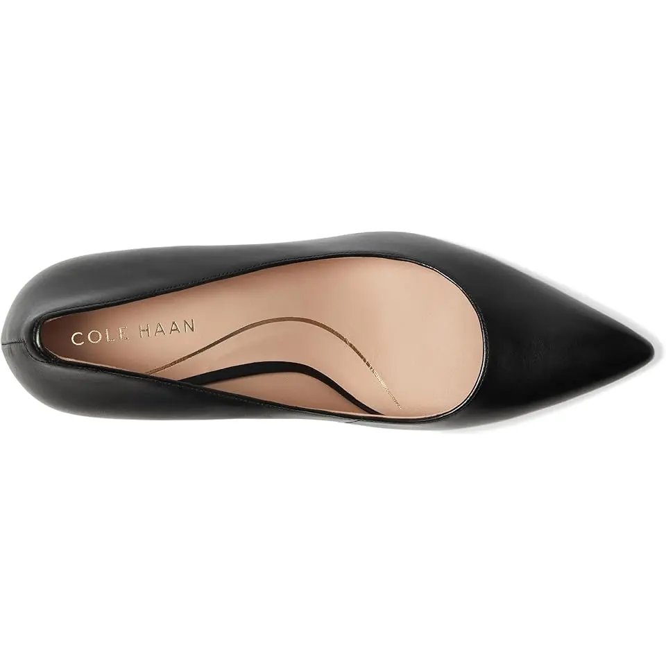 Vivica Pointed Toe Pumps