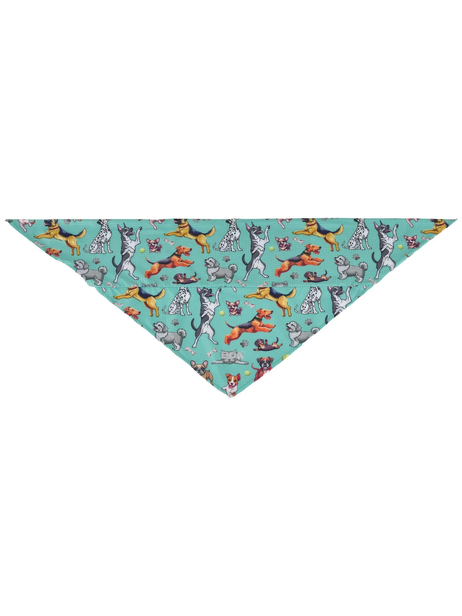 BOA Brrr-andana Bestie Seafoam