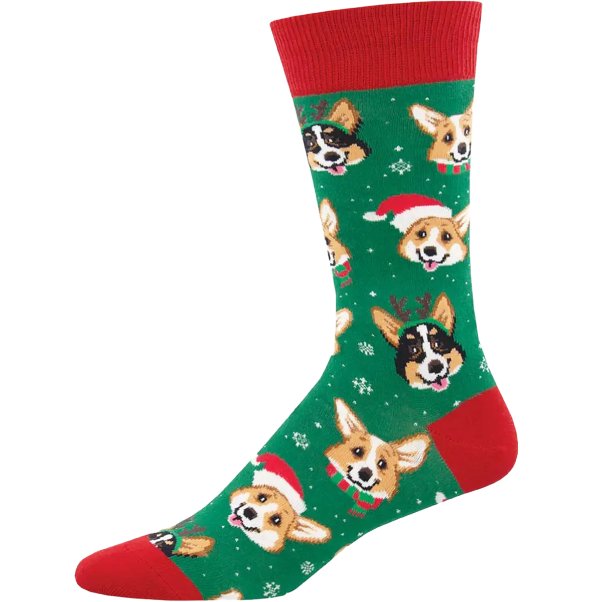 Happy Pawlidays