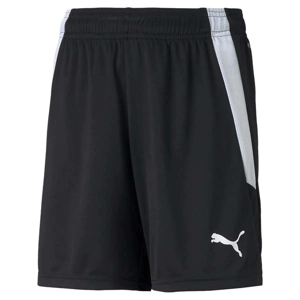 Youth Team Liga Shorts