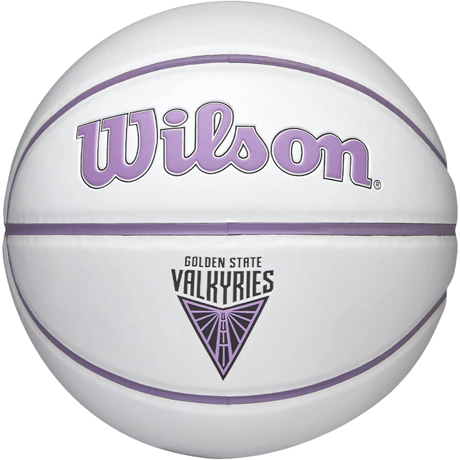WNBA Team Autograph Mini Basketball Valkryies - 22"