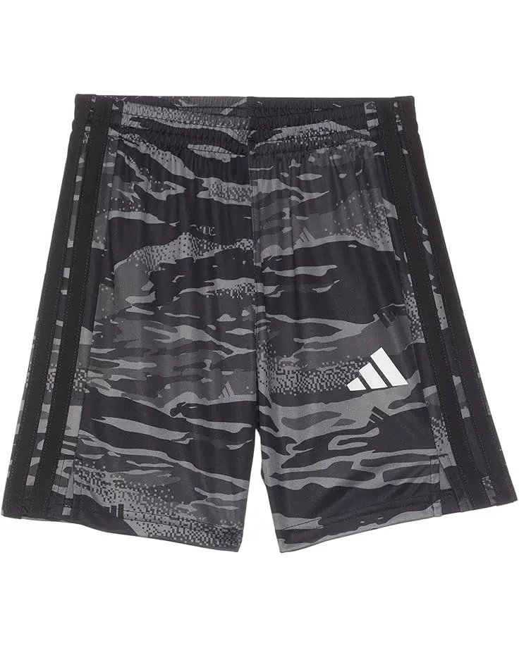 AOP Tiger Camo Shorts (Toddler/Little Kids)