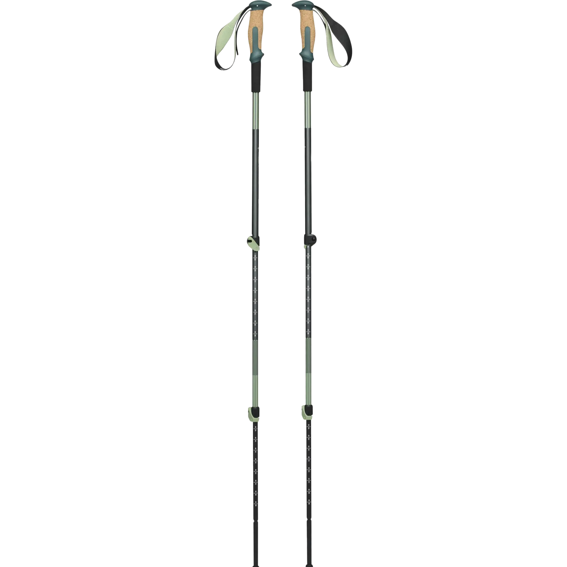 Trail Vista Shock Trekking Poles