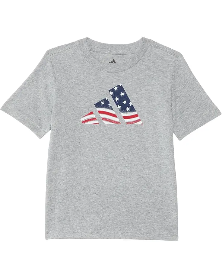 Usa Flag Logo Tee (Toddler/Little Kids)