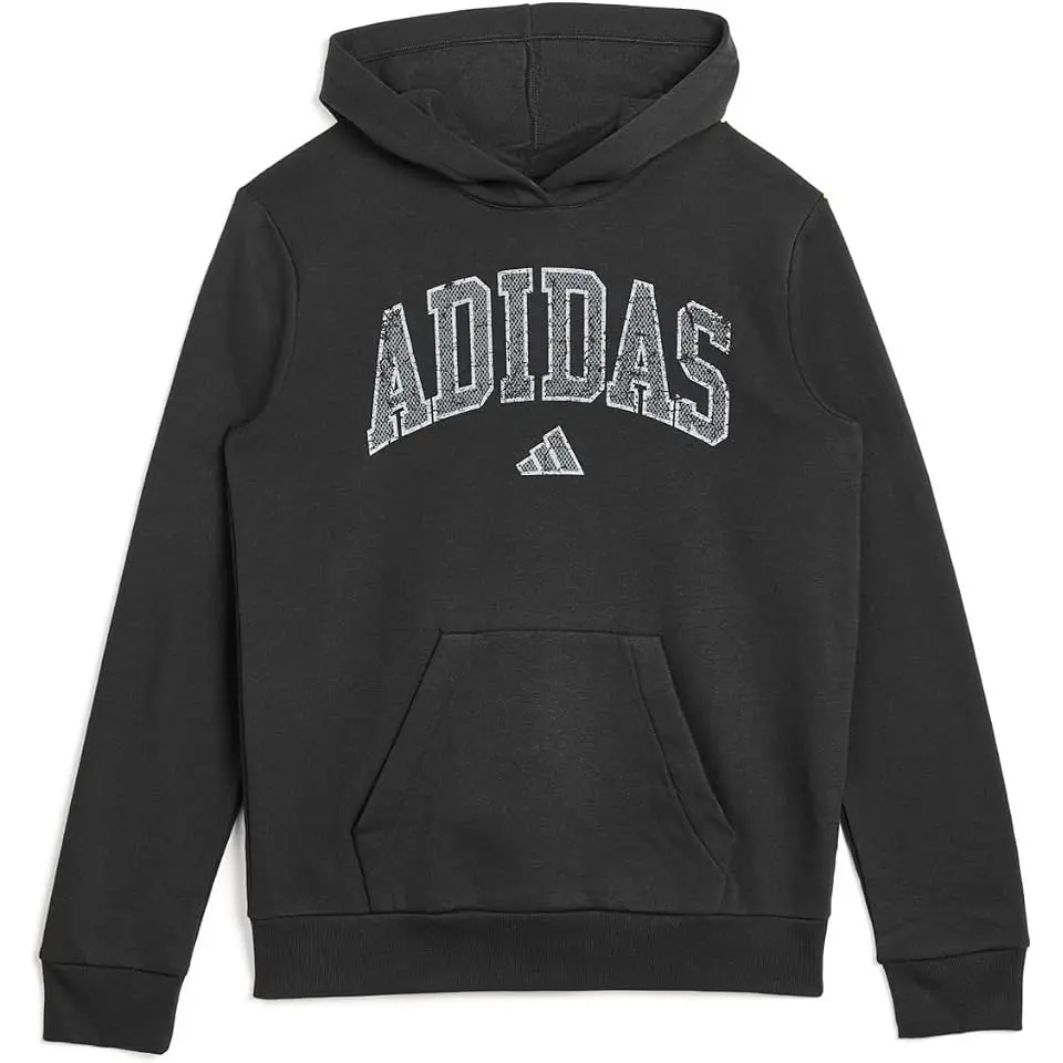 Collegiate Arch Fleece Hooded Pullover (Big Kid)