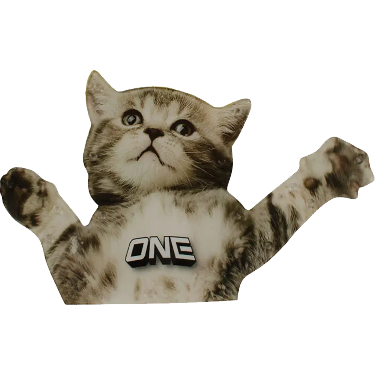 Flying Cat