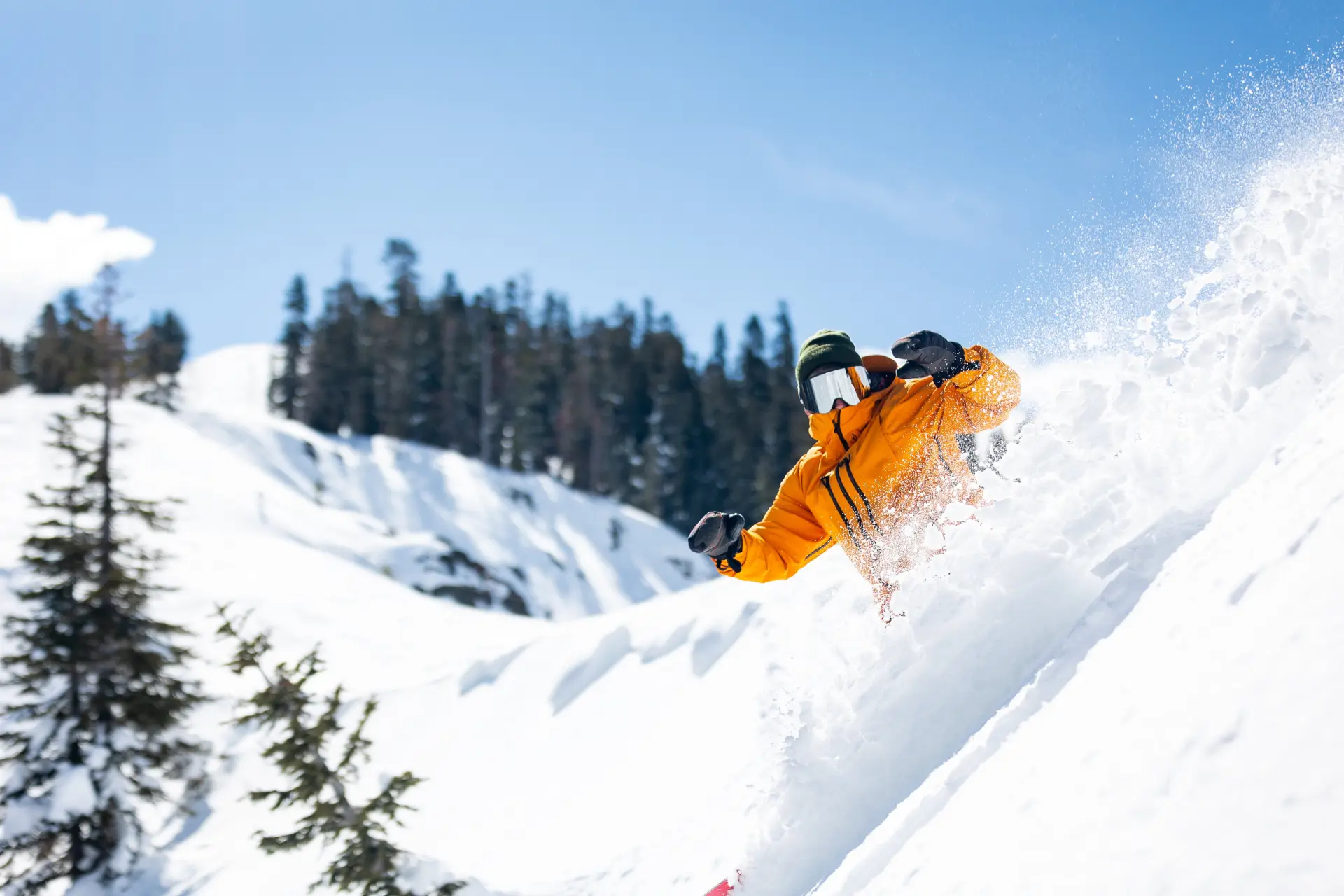 Bear Valley Ski Bus