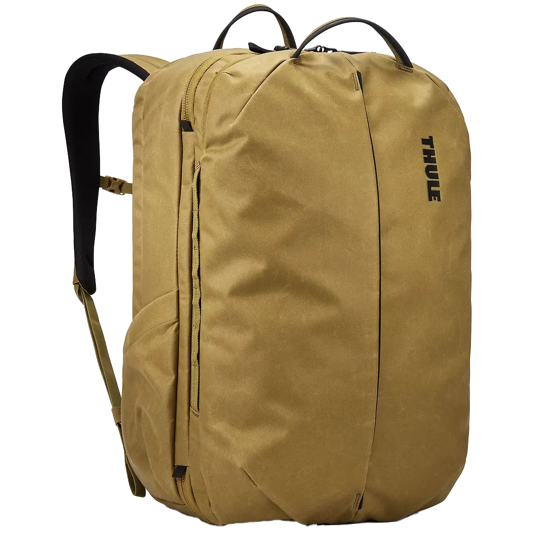 Aion Travel 40 L Backpack