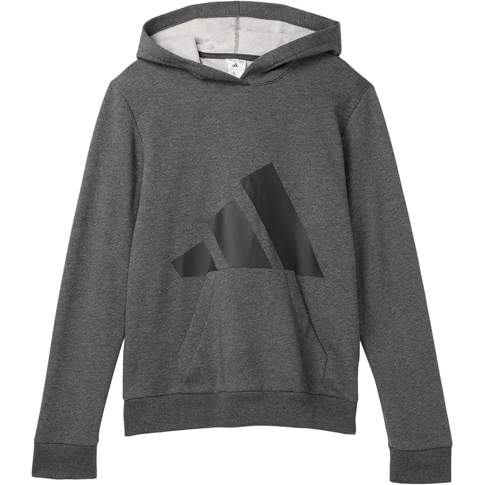 Essential Big Logo Fleece Heather Hooded Pullover (Big Kid)