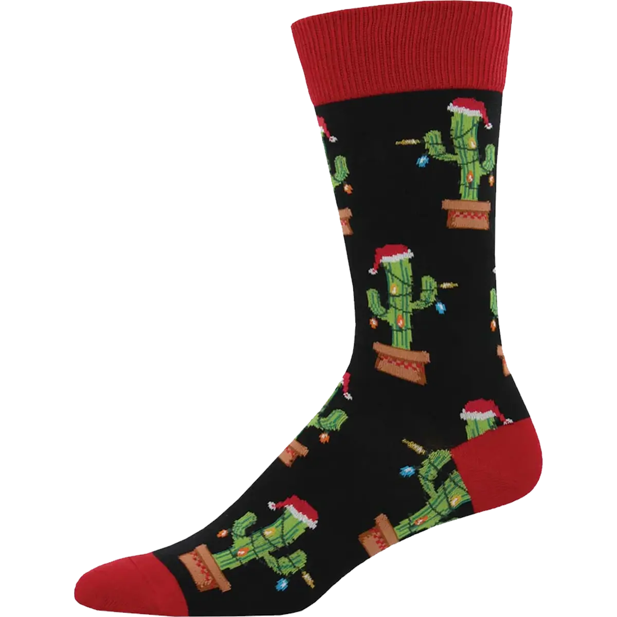 Christmas Cactus