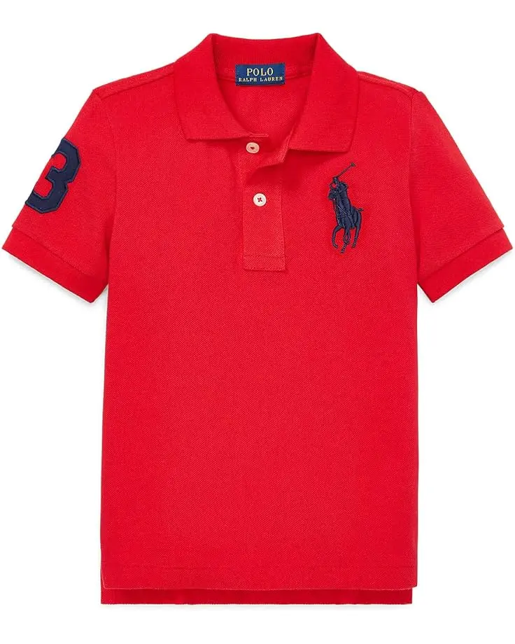 Big Pony Cotton Mesh Polo Shirt (Toddler/Little Kid)