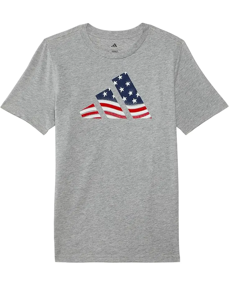 USA Flag Logo Tee (Big Kid)