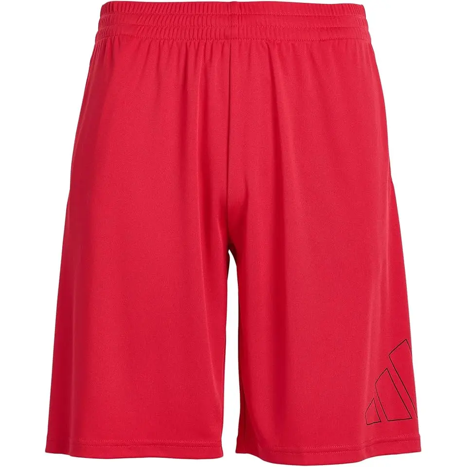Essentials Big Logo Shorts (Big Kid)