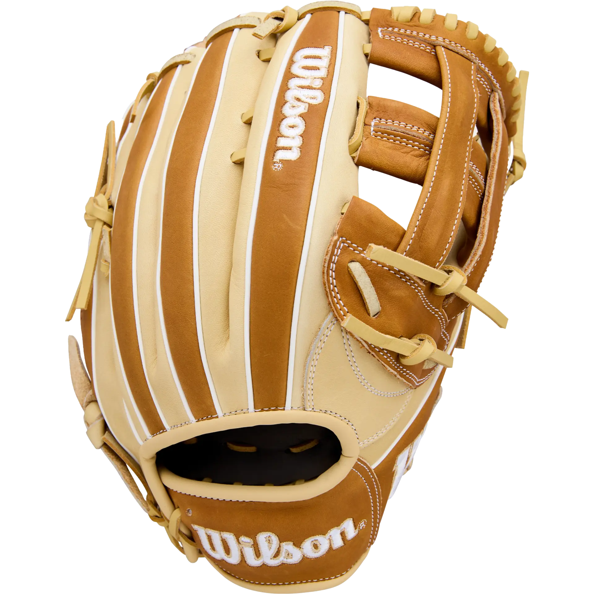 A1000 1750 12.5" Dual Post Web LHT