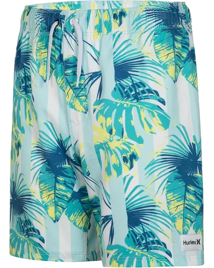 Cabana Stripe Pull On Swim Trunk (Little Kid)