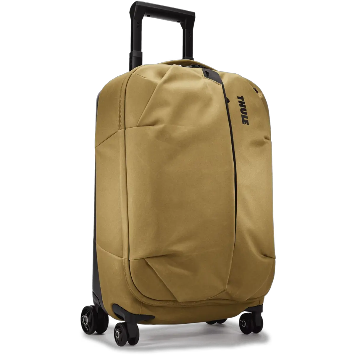 Aion Carry On Spinner