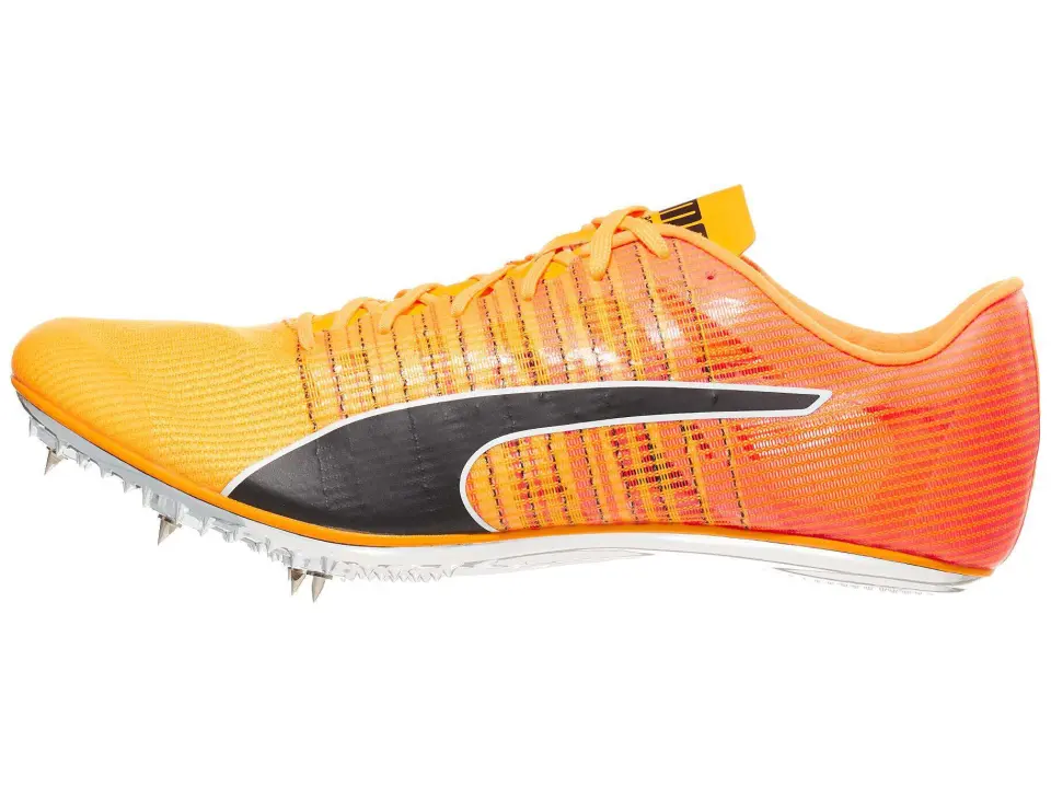 PUMA evoSPEED Brush 6 Spikes