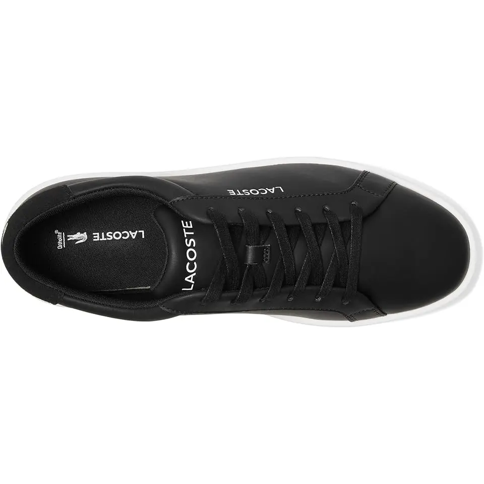 Courtderby Sneakers