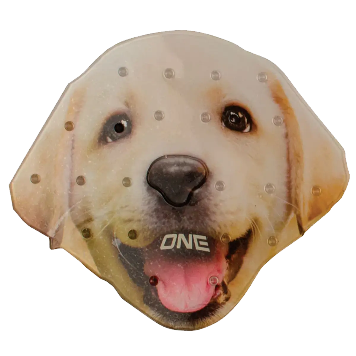 Lab